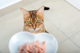 Γιατί δεν πρέπει να δίνετε συχνά ψάρι στη γάτα σας