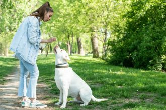 Τι πρέπει να κάνετε αν ο σκύλος σας φάει κάτι από κάτω στη βόλτα