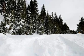 Ιταλία: Νεκροί δυο σκιέρ που καταπλακώθηκαν από χιονοστιβάδα