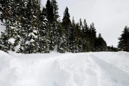 Ιταλία: Νεκροί δυο σκιέρ που καταπλακώθηκαν από χιονοστιβάδα