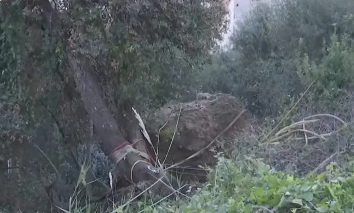 Κατάκολο: Σήμερα η ανατίναξη του 40 τόνων βράχου