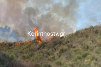 Καλύτερη η εικόνα της φωτιάς στα Σοφιανά Κορινθίας: Μεγάλη κινητοποίηση της Πυροσβεστικής, δείτε εικόνες