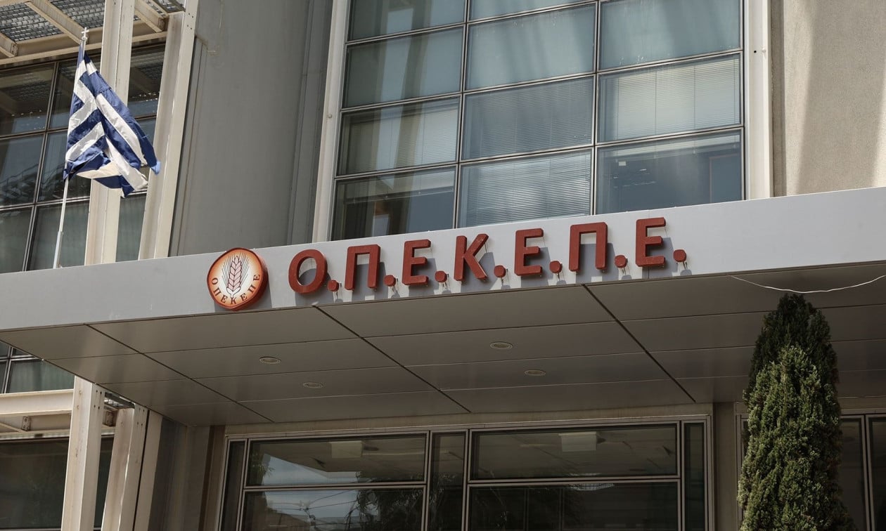 Δίκη ΟΠΕΚΕΠΕ: Νέα στοιχεία από τις καταθέσεις - Πώς γίνονταν οι έλεγχοι, τι δηλωνόταν ως αγροτεμάχιο