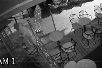 Αγρίνιο: Καρέ καρέ η δράση διαρρήκτη - Πώς σκαρφαλώνει ανενόχλητος από τέντα - Ανάστατοι οι καταστηματάρχες, ζητούν πιο συχνές περιπολίες από την Αστυνομία (ΒΙΝΤΕΟ)