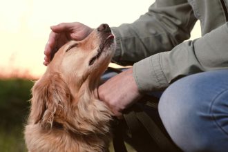 Γιατί μας αγαπάει ο σκύλος μας τόσο πολύ; Η απάντηση που δεν περιμέναμε