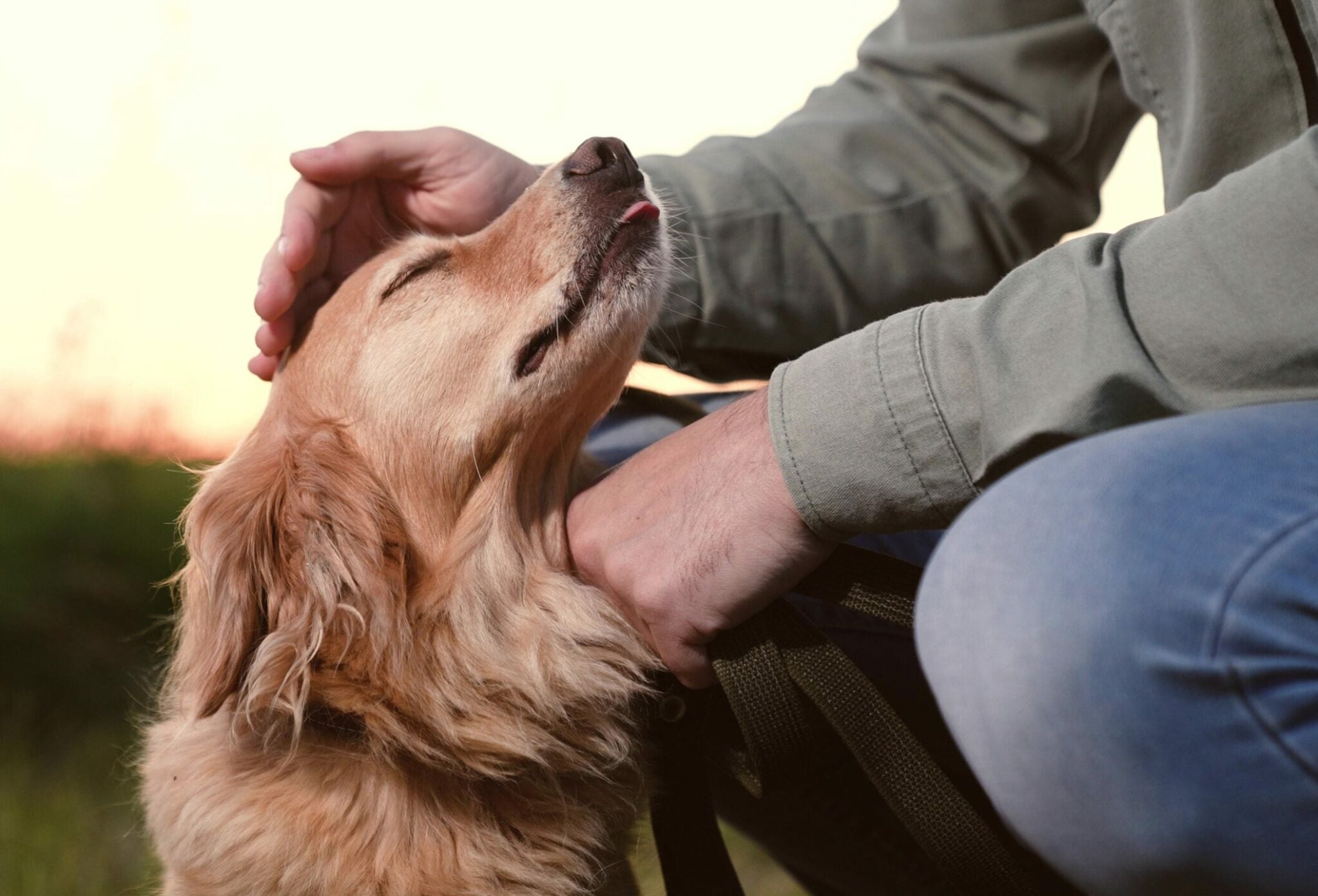Γιατί μας αγαπάει ο σκύλος μας τόσο πολύ; Η απάντηση που δεν περιμέναμε