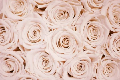 Ποιοι γιορτάζουν σήμερα 1 Μαρτίου