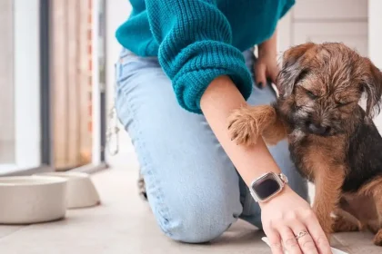 Πώς να μυρίζει όμορφα το σπίτι σας όταν έχετε σκύλο ή γάτα