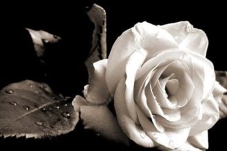 Πάτρα: “Εφυγε” ξαφνικά ο Γιάννης Τριαντόπουλος - Το συγκινητικό μήνυμα του Αντώνη Γκόλφη