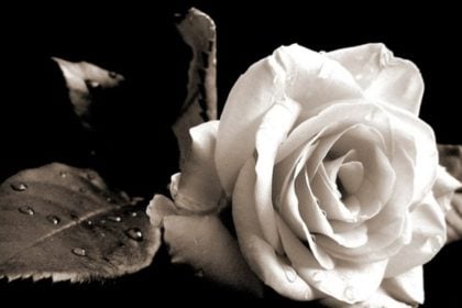 Πάτρα: “Εφυγε” ξαφνικά ο Γιάννης Τριαντόπουλος - Το συγκινητικό μήνυμα του Αντώνη Γκόλφη