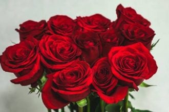 Ποιοι γιορτάζουν σήμερα, 8 Μαρτίου