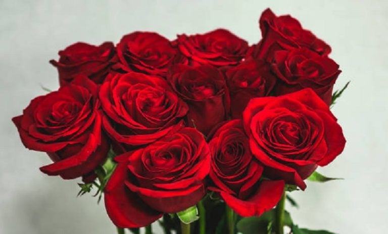 Ποιοι γιορτάζουν σήμερα, 8 Μαρτίου