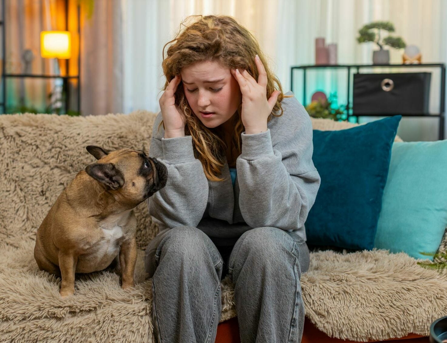 Μπορούν οι σκύλοι να καταλάβουν όταν πονάμε; Πώς αντιδρούν
