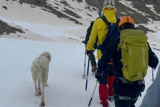 Σκύλος εγκλωβισμένος σε υψόμετρο 1.900 μέτρων σώθηκε από Έλληνες ορειβάτες