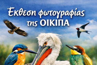Έκθεση φωτογραφίας της ΟΙΚΙΠΑ: «Τα πουλιά της Ελλάδας»