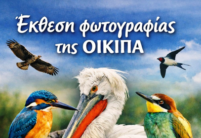 Έκθεση φωτογραφίας της ΟΙΚΙΠΑ: «Τα πουλιά της Ελλάδας»