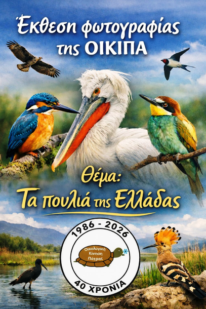 Έκθεση φωτογραφίας της ΟΙΚΙΠΑ: «Τα πουλιά της Ελλάδας»